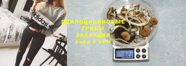 не бодяженный Аркадак