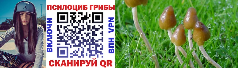 Псилоцибиновые грибы MAGIC MUSHROOMS Новосиль